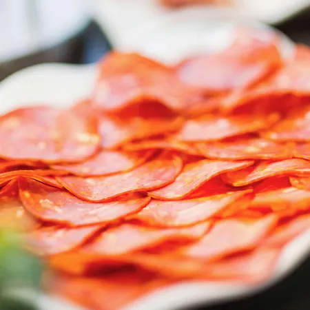 Plaza - Handwritten Collection Biarritz