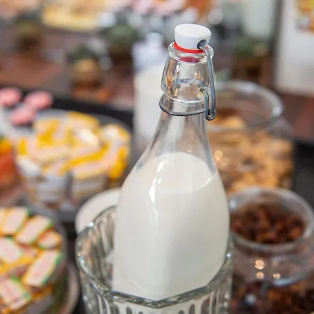 Hotel Plaza - Handwritten Collection